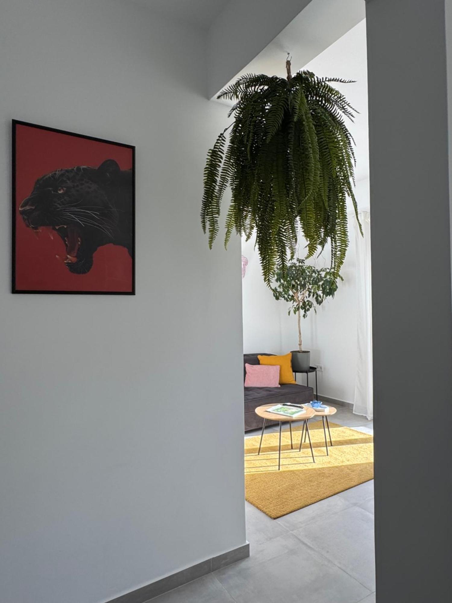 Ikarus Apartment เอเธนส์ ภายนอก รูปภาพ